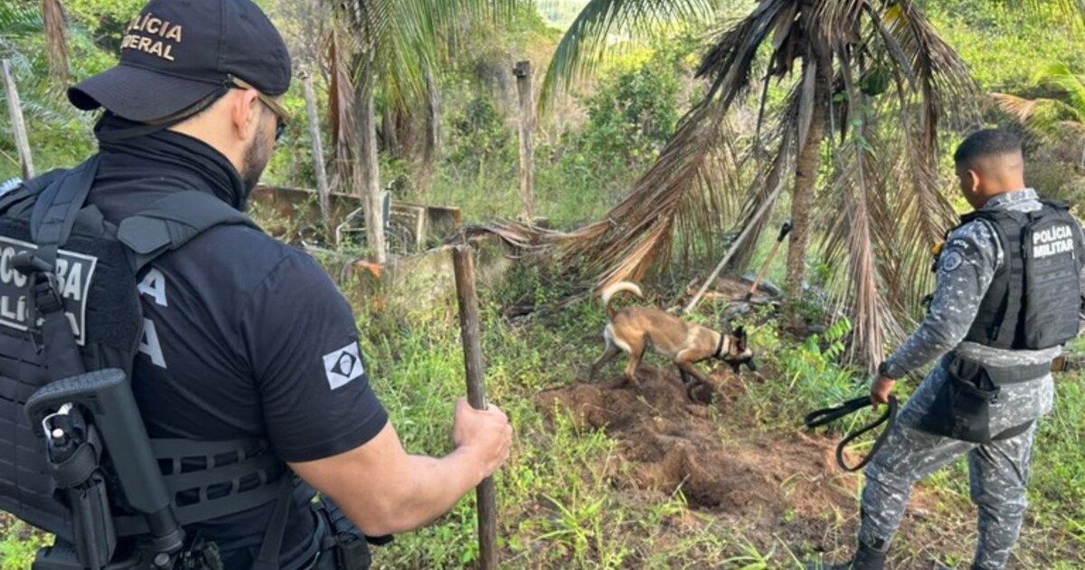 FICCO cumpre mandados contra grupo suspeito de distribuir armas e drogas na Bahia