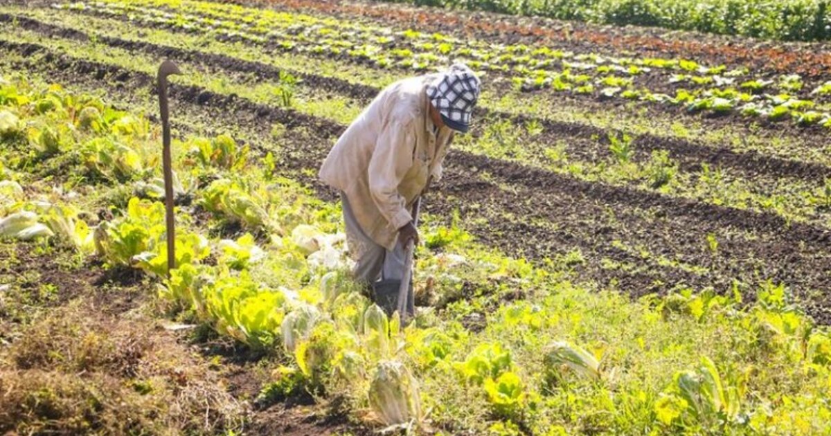 MP abre R$ 64,3 milhões para alimentos e ações em comunidades indígenas