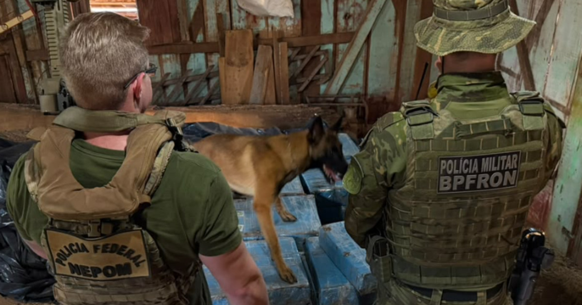PF apreende 708 quilos de maconha e duas armas em chácara de Toledo