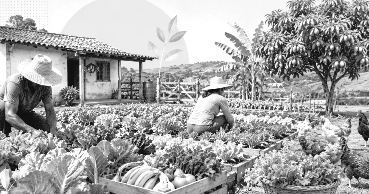 Agricultura familiar e fome: o que Flávio Bolsonaro e Lula propõem