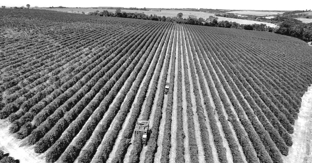 Agronegócio quer políticas mais perenes para enfrentar juros, clima e Custo Brasil