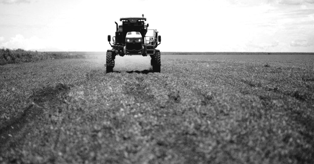 Entregas de fertilizantes ao mercado brasileiro caem 22,3% em julho
