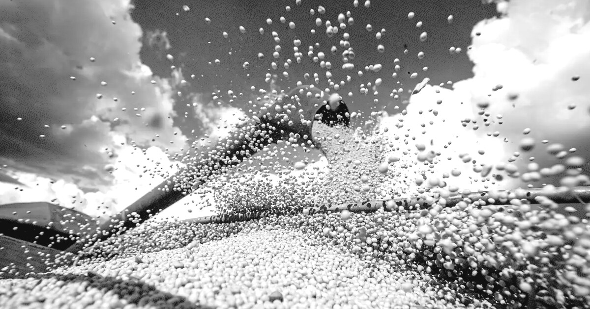 Estudo mostra necessidade de proteger soja para evitar perdas