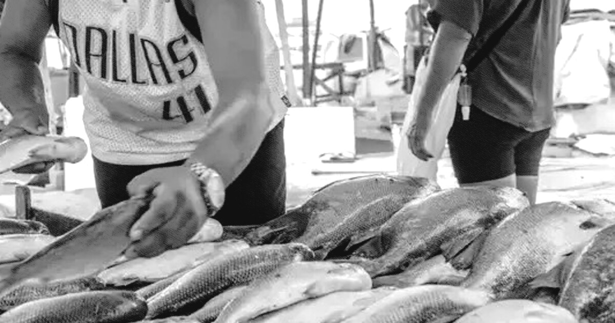 Seafood Show debate expansão e exportações do pescado brasileiro